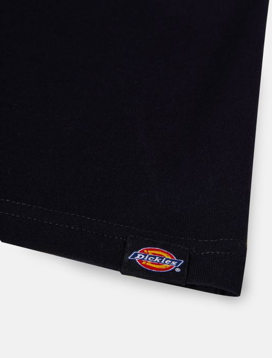 Dickies DENISON T-SHIRT, schwarz