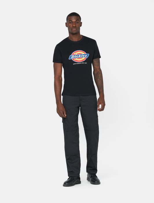 Dickies DENISON T-SHIRT, schwarz